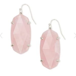 NWOTKendra Scott Rhodium Plated Esme Drop Earrings
